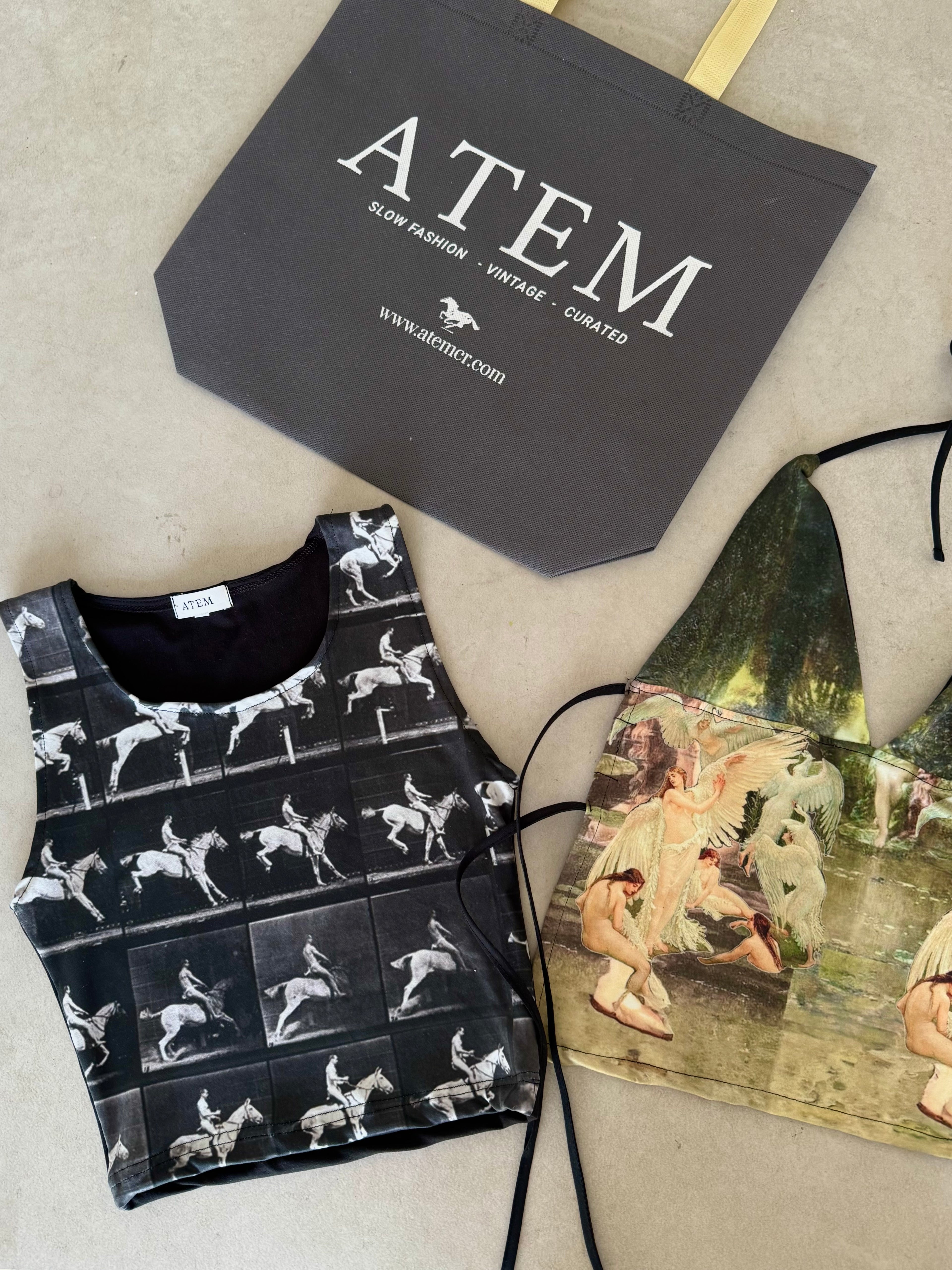 TOPS BAG (Ride+Fairy tops)
