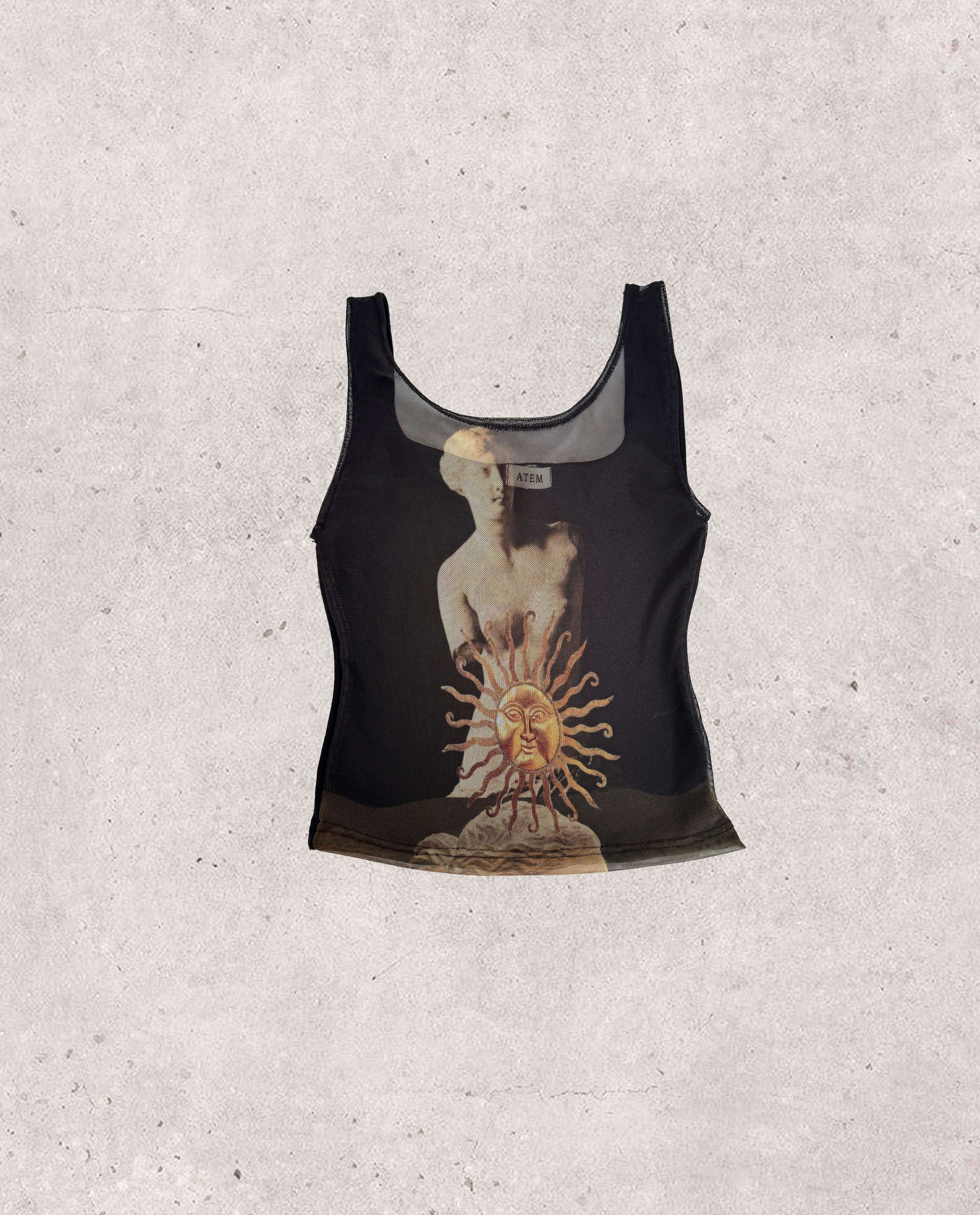 Sun in Venus top